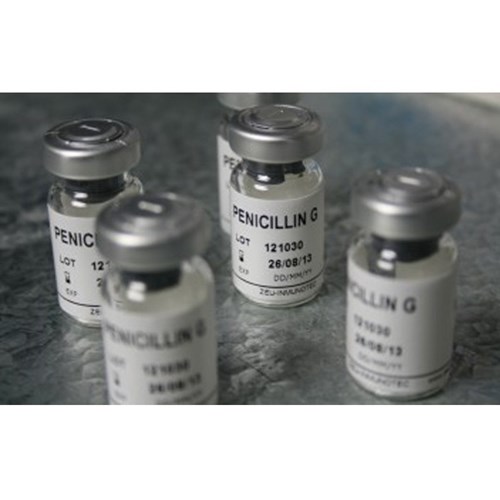 PENICILLIN G POSITIVE CONTROL